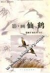 影·画仙鹤 封面