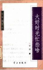 大好时光忙些啥 封面