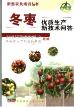 冬枣优质生产新技术问答 封面