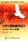 大学计算机程序设计 Visual Basic环境 封面