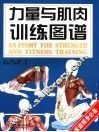 力量与肌肉训练图解 封面