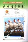 肉鸡饲养技术 封面