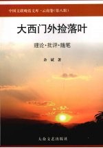 大西门外捡落叶  理论·批评·随笔 封面