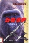 动物情趣 封面