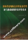 渤海湾盆地临邑洼陷复杂岩性油气藏成藏规律及评价技术 封面