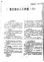 鳖及鳖的人工养殖  续 封面