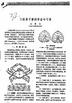 三疣梭子蟹的形态与习性 封面