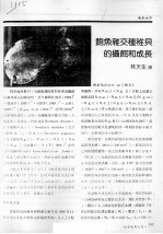 鲍鱼杂交种稚贝的摄饵和成长 封面