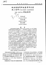 鲍鱼理想饵料硅藻盾卵形藻微小变种COCCONEIS SCUTELLUMVAR·PARVA 增殖特性 封面