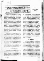 红鲍和绿鲍的生态习性及其经济价值 封面