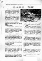 特种养殖优良品种-罗氏沼虾 封面