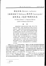 诱发红鲍Haliotis rufescens 软体动物门Mollusca：腹足纲 封面