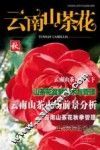 云南山茶花 封面