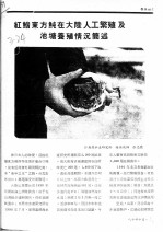 红鳍东方鲀在大陆人工繁殖及池塘养殖情沉简述 封面