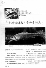 多鳞鏟颔鱼  泰山赤鳞鱼 封面