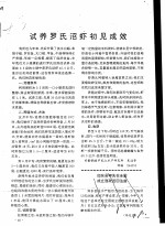 试养罗氏沼虾初见成效 封面