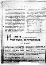 三疣梭子蟹早期幼体的耗氧量、生长及计算的饵料需用量 封面