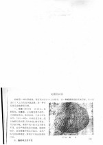 魁蚶的试养 封面