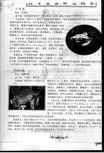 热带鱼品种及饲养  红裙鱼  帆鳍玛丽  菠萝鱼 封面