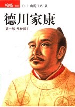 德川家康  乱世孤主 封面