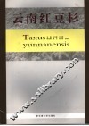 云南红豆杉 封面