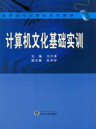 计算机文化基础实训 封面