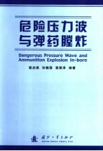 危险压力波与弹药膛炸 封面