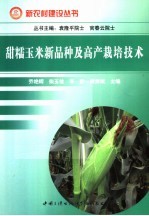 甜、糯玉米新品种及高产栽培技术 封面