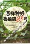 怎样种好鲁棉研28号 封面