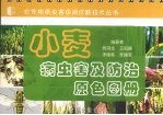 小麦病虫害及防治原色图册 封面