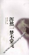 浑然一梦不觉飞 封面