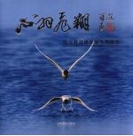 心羽飞翔  段文科盘景湿地鸟类摄影 封面