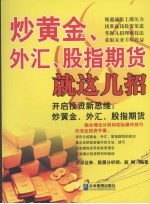 炒黄金、外汇、股指期货就这几招 封面