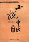 小说中医续集  一部表述中医药文化的小说 封面