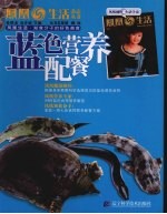 蓝色营养配餐 封面