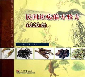 民间祛病偏方验方1600例 封面