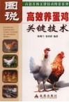 图说高效养蛋鸡关键技术 封面