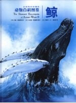 动物百科图鉴  鲸  全球同步珍藏版 封面