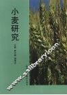 小麦研究 封面