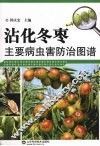 沾化冬枣主要病虫害防治图谱 封面