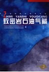 致密岩石油气藏  2 封面
