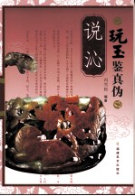 玩玉鉴真伪  说沁 封面