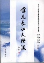 惟见长江天际流 封面