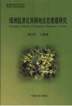绿洲盐渍化弃耕地生态重建研究 封面