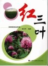 红三叶 封面