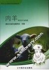 肉羊 封面