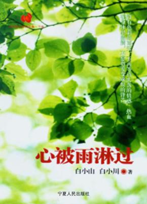 心被雨淋过 封面