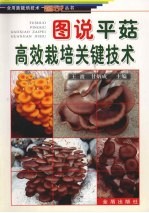 图说平菇高效栽培关键技术 封面