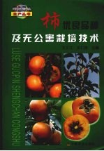 柿优良品种及无公害栽培技术 封面