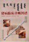 猪病临床诊断图谱 封面